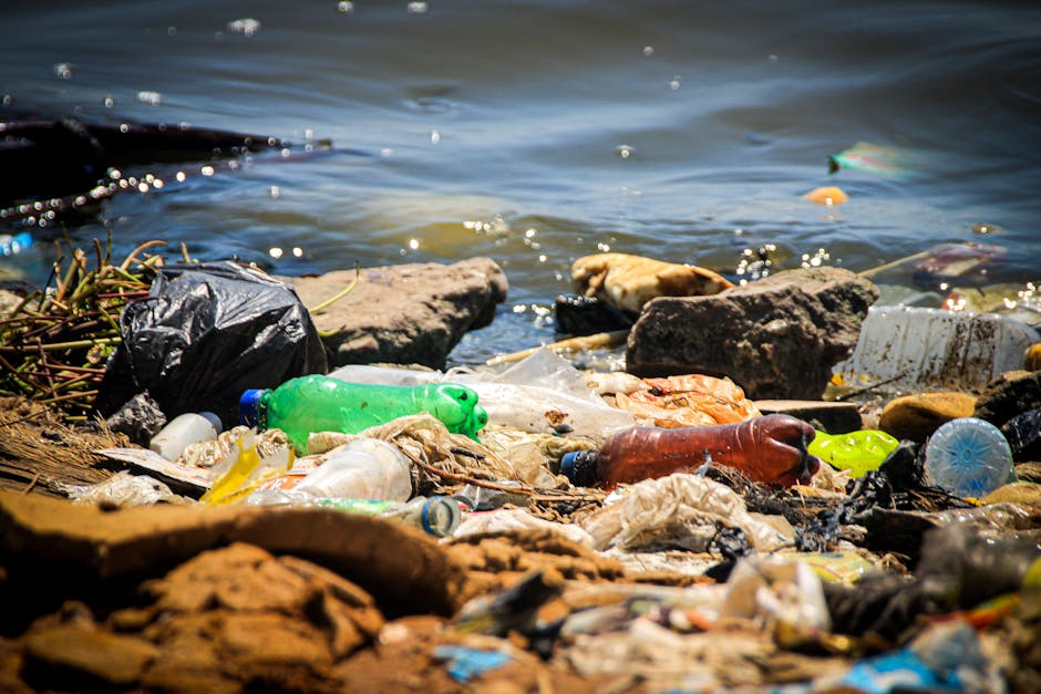 A shoreline cluttered with various types of litter, including plastic bottles in green, clear, brown, and blue colors, some partially crushed or deformed, scattered among small rocks and pebbles of different shades of brown and gray. The rocks vary in size and texture, with some smooth and rounded, others more jagged and coarse. The water's surface in the background appears slightly disturbed, with small ripples and reflections catching the light, indicating a natural aquatic environment. Among the debris are plastic bags, some dark and crumpled, mixed with organic material and twigs, adding to the overall scene of pollution. The presence of discarded packaging and bottles suggests an area impacted by human activity, highlighting issues around waste disposal and environmental pollution. This scene exemplifies the importance of proper rubbish removal and waste management, similar to what services like those offered by rubbishremovalkingstonuponthames.org.uk aim to address, particularly in managing private waste disposal in natural settings.